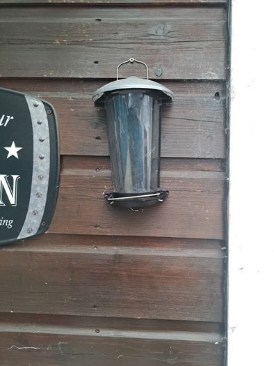 bird feeder