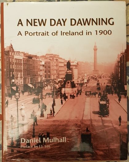 A New Day Dawning: A Portrait Of Ireland In 1900 by Daniel Mulhall