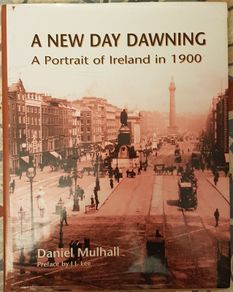 A New Day Dawning: A Portrait Of Ireland In 1900 by Daniel Mulhall