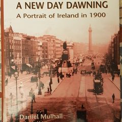 A New Day Dawning: A Portrait Of Ireland In 1900 by Daniel Mulhall