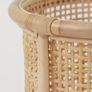 Large Rattan Plant Pot Image 4