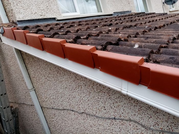 Roof and Gutters Repair, Exterior & Interior Painting, Powerwashing-Cleaning Service