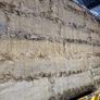 Pit silage Image 6