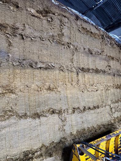 Pit silage