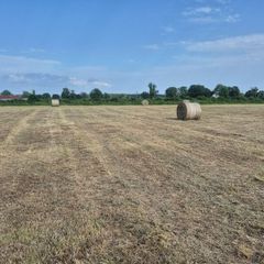 Round bales of hay