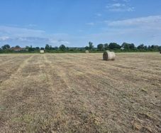 Round bales of hay