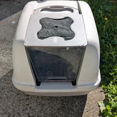 Cat litter box large