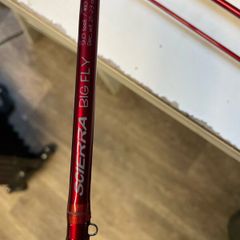Pike fly rod