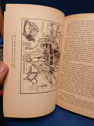 Cooke and Scanlon's Guide to Cork