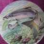 Anchovy pate jar Image 5