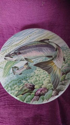 Anchovy pate jar