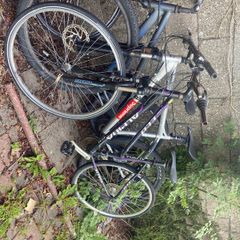 bikes