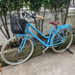 Ladies Bike