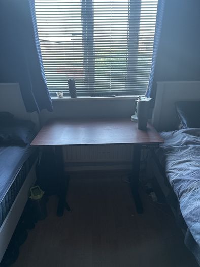 Electric Standing Desk 100 x 60cm