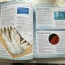 4000 Facts Book Image 3