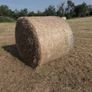 Round Hay Bales Image 3