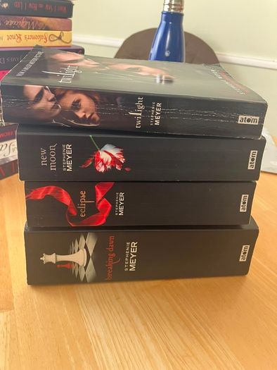 YA book bundle