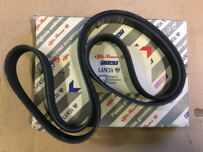Alternator Belt (Fiat Scudo)