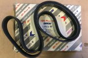 Alternator Belt (Fiat Scudo)