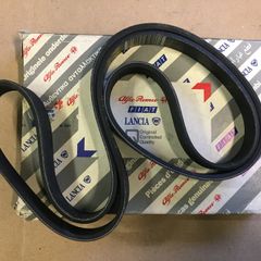 Alternator Belt (Fiat Scudo)