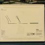 Official Apple Magic Keyboard for iPad Air 13-inch M2 M3 M4 A3340 Black (New Open Box) Image 6