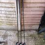 golf Clubs FEMALE Image 4