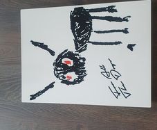 chromaluxe Aluminium photo panel