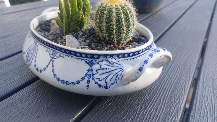 Fabulous Antique W. Adams Two-Handled Tureen with Cacti Garden - A Fabulous Unique and Decorative Item for Display Indoors