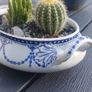 Fabulous Antique W. Adams Two-Handled Tureen with Cacti Garden - A Fabulous Unique and Decorative Item for Display Indoors Image 10