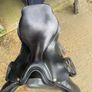 Saddle open to offers Image 2