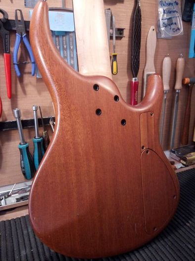 MTD Fretless Bass
