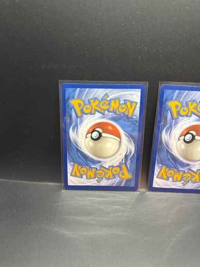 Druddigon Tg09/Tg30 | Houndour 204/197 Pokemon Cards
