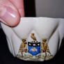 Nautilus Porcelain Leeds Crested China Image 4
