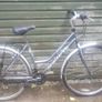 LADIES BIKE Ignito Traverso - grey Image 2