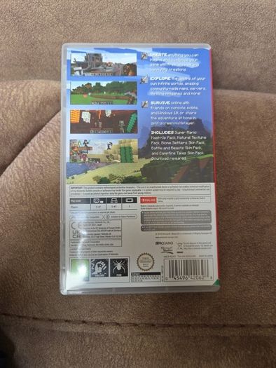 Nintendo Switch Game