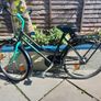 ladies bike Image 2
