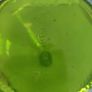 Unique Shaped Green Glass Bottle  Great Condition, No Chips or Crack, Green Wine Bottle, Image 5