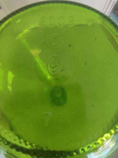 Unique Shaped Green Glass Bottle  Great Condition, No Chips or Crack, Green Wine Bottle,