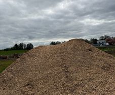 Wood Chip & Trees