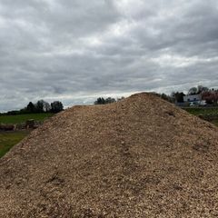 Wood Chip & Trees