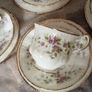 Rare Paragon "Malandi" Tea Set Image 5