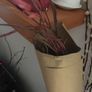 Dried Flowers + Trug & Basket Image 5