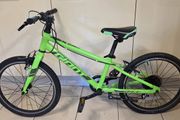 Giant Bike