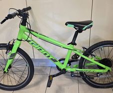 Giant Bike