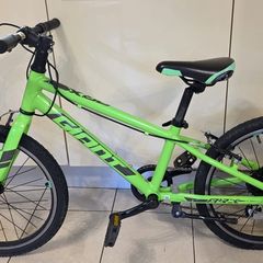 Giant Bike