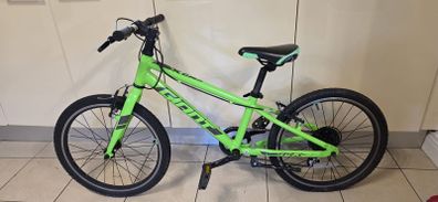 Giant Bike