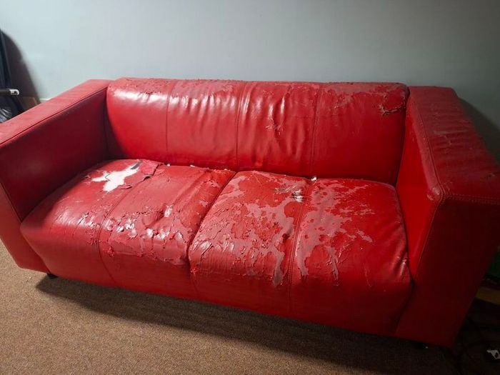 Red Leather Sofa