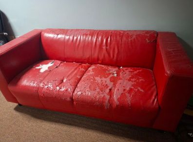 Red Leather Sofa