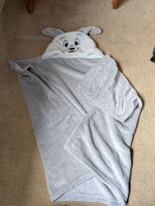 Dog hooded blanket