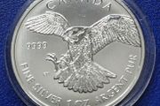 Canada 5 Dollar Peregrine Falcon 2014 silver 99.99% 1 oz silver coin